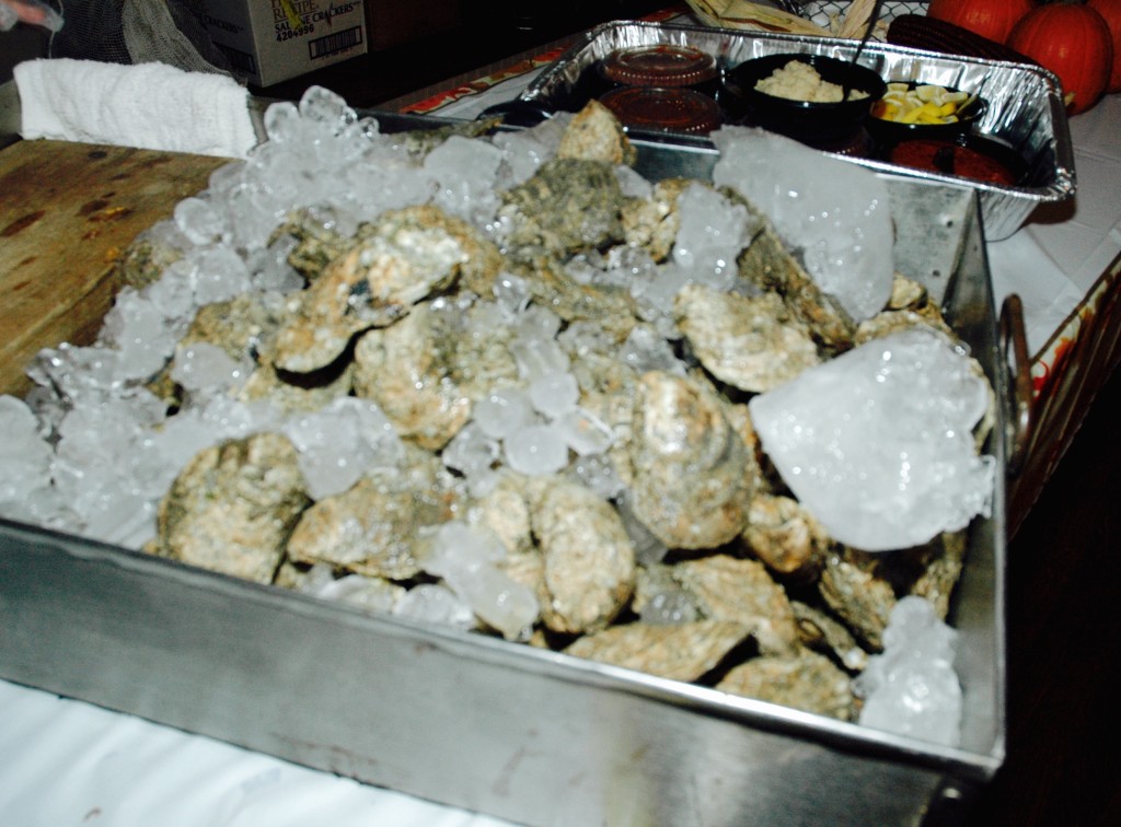 oysters